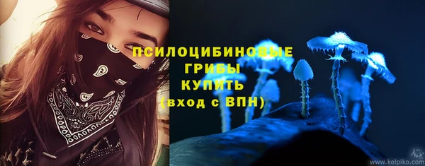 Альфа ПВП Гусев