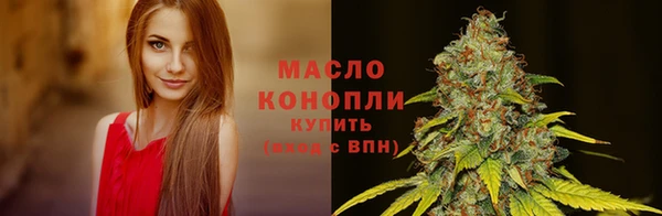 тгк Гусь-Хрустальный