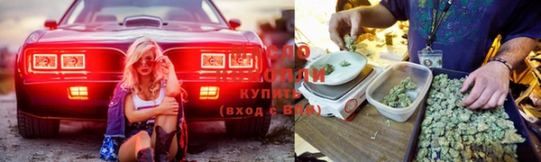 тгк Гусь-Хрустальный