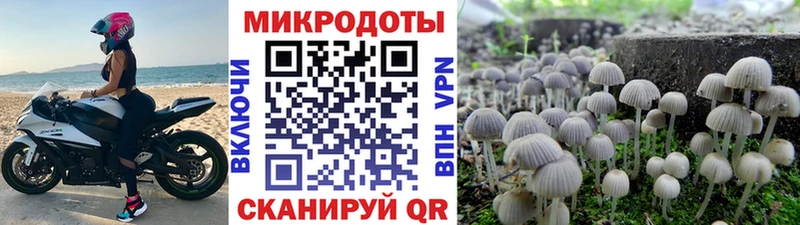 Галлюциногенные грибы Magic Shrooms  Купить где  Лесной 